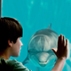 Illustration for article titled Dolphin Tale